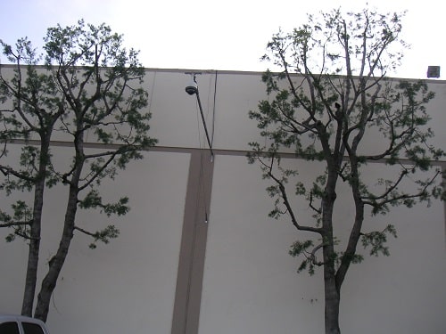 PTZ security camera tree blocking view