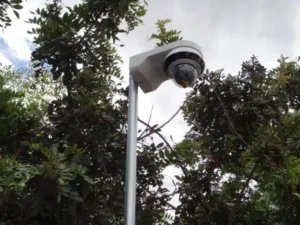Mini PTZ security camera mounted on pole for residential surveillance