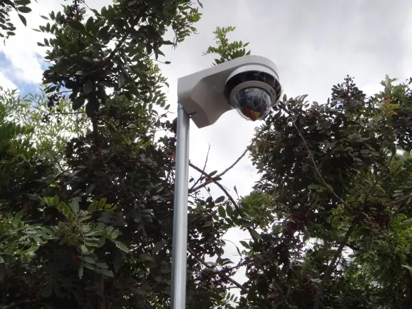 Mini PTZ security camera mounted on pole for residential surveillance