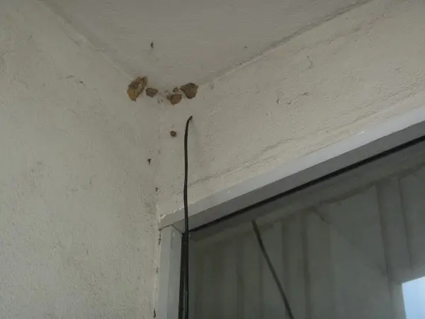 Security Camera Cable Routing Through Exterior Wall for Camera Expansion